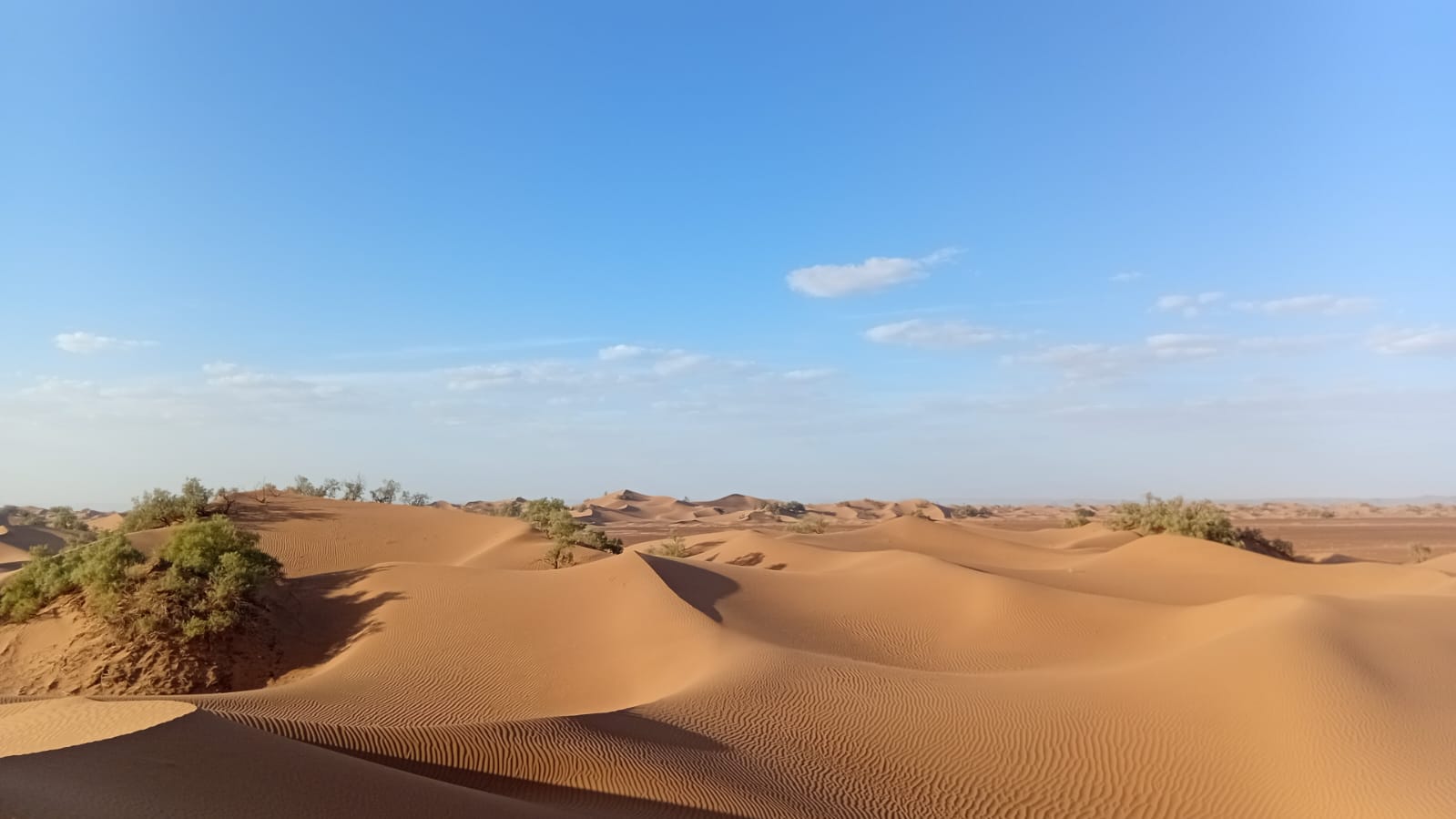 The Scorpion Trail — Moroccan Sahara